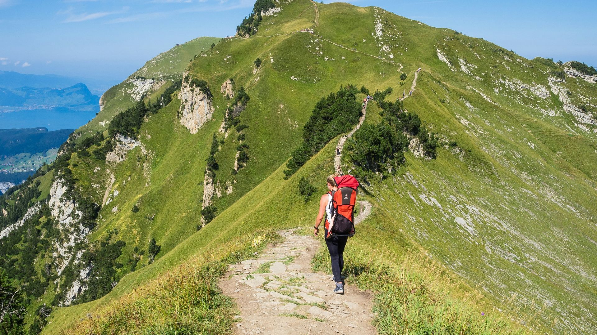 person in red jacket walking on green grass field during daytime