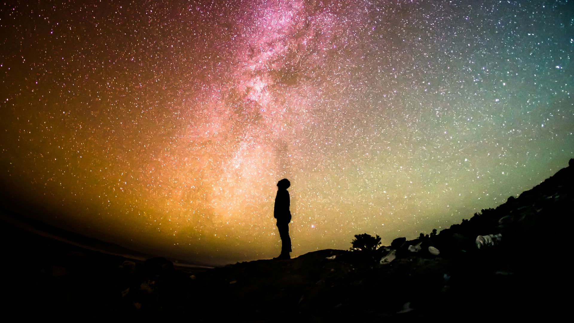 silhouette photography of person