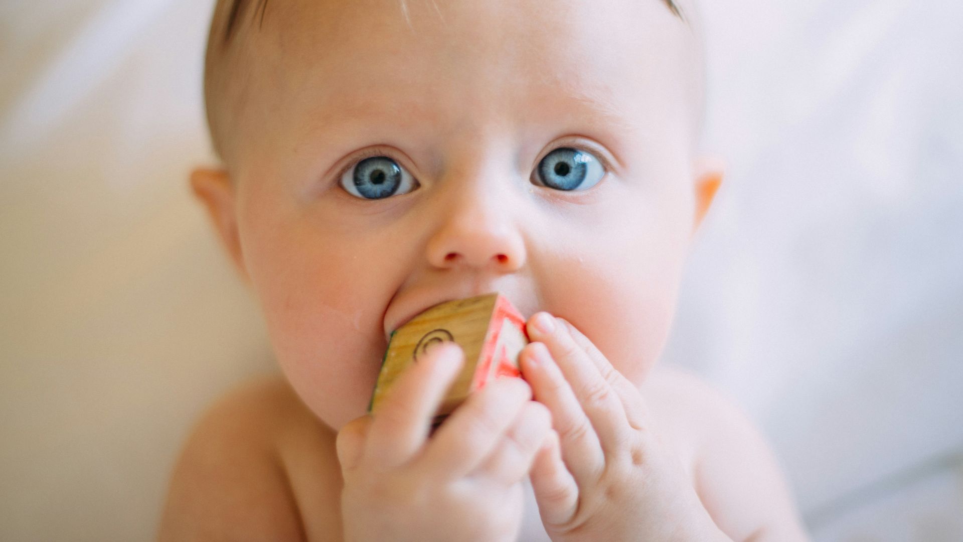 selective focus photography of baby holding wooden cube