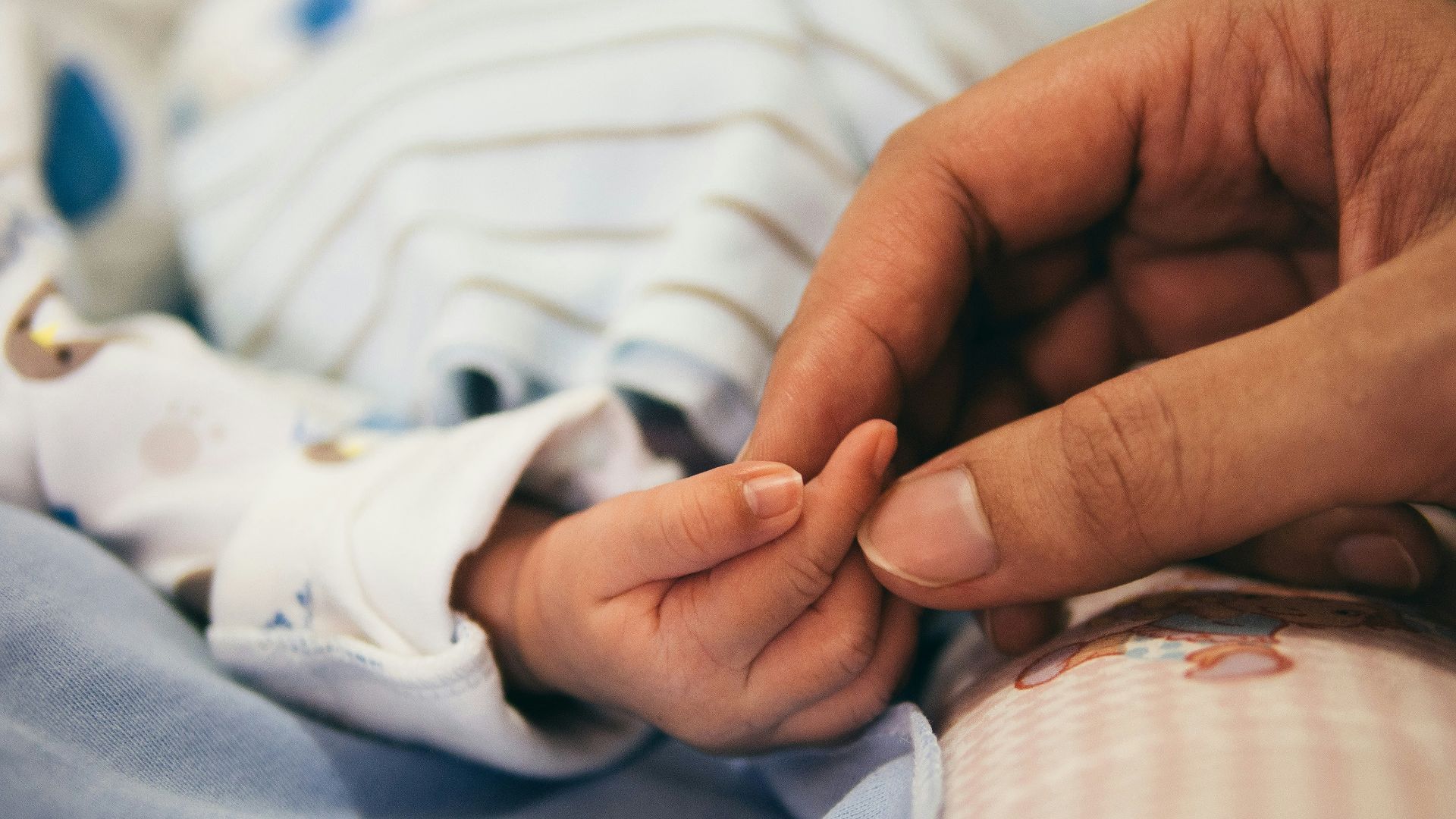person holding baby's index finger