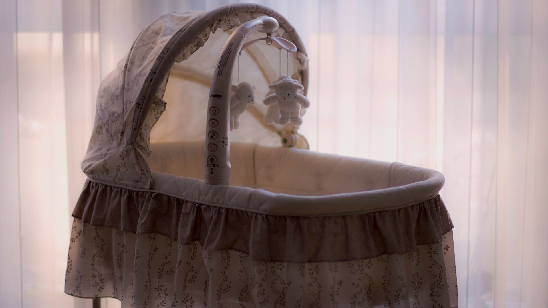 baby's white and black bassinet