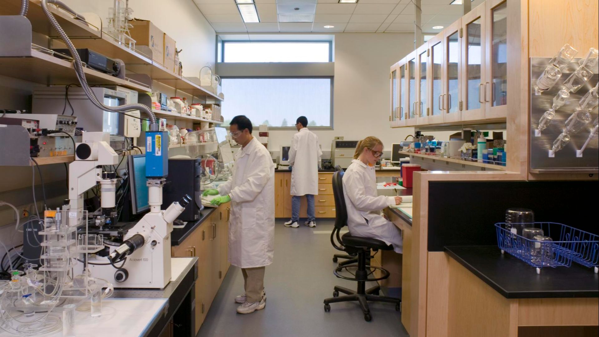 File:Biomedical Engineering Laboratory.jpg