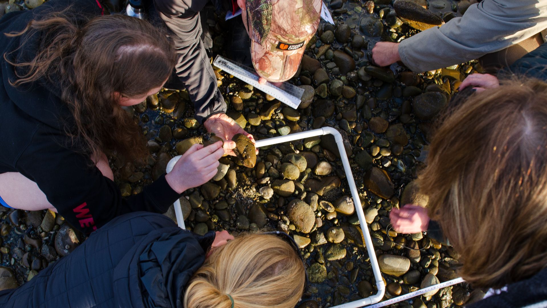 File:Environmental Science at Whenua Iti Outdoors.jpg