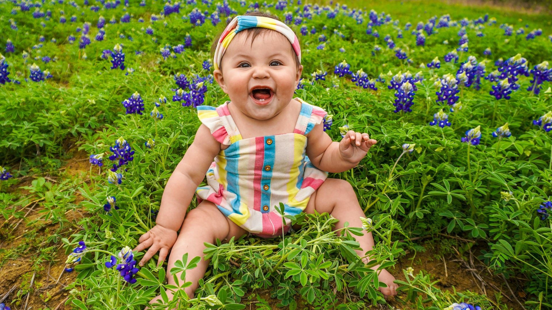 a baby sitting in a field of blue flowers