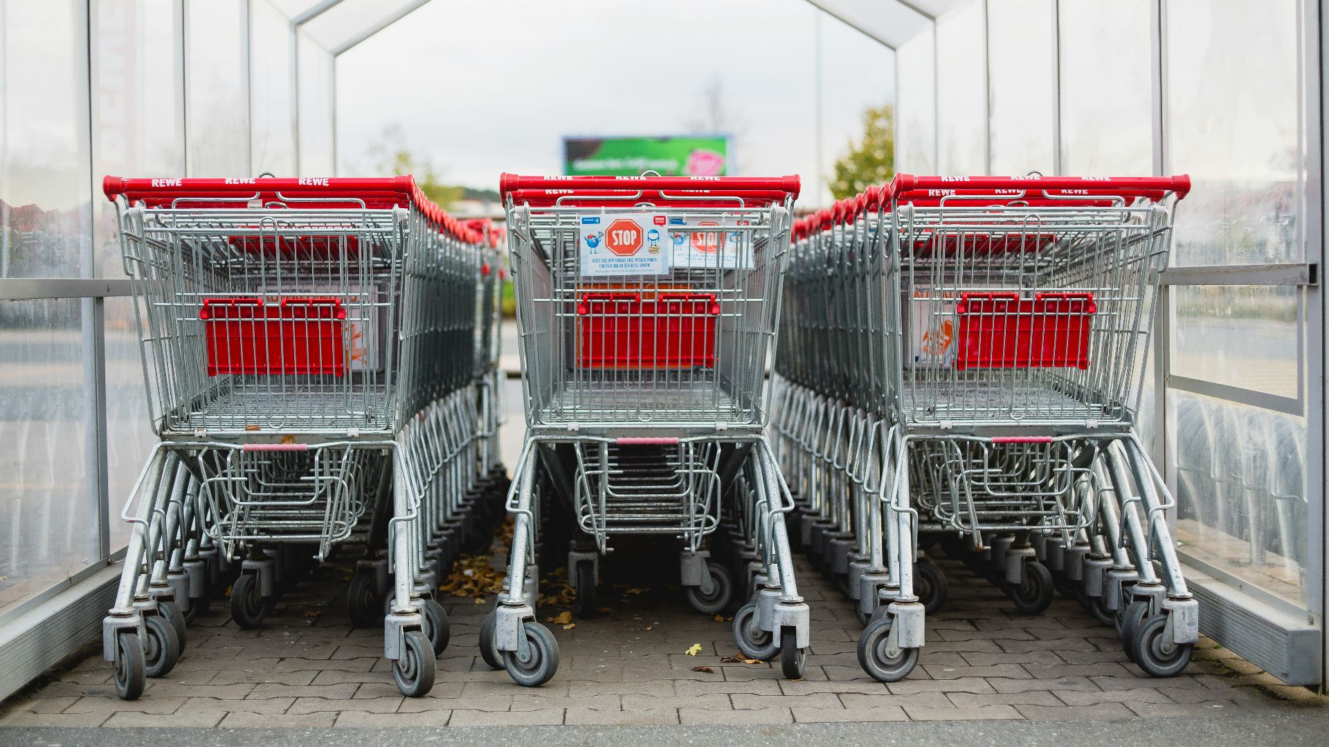 gray and red shopping carts