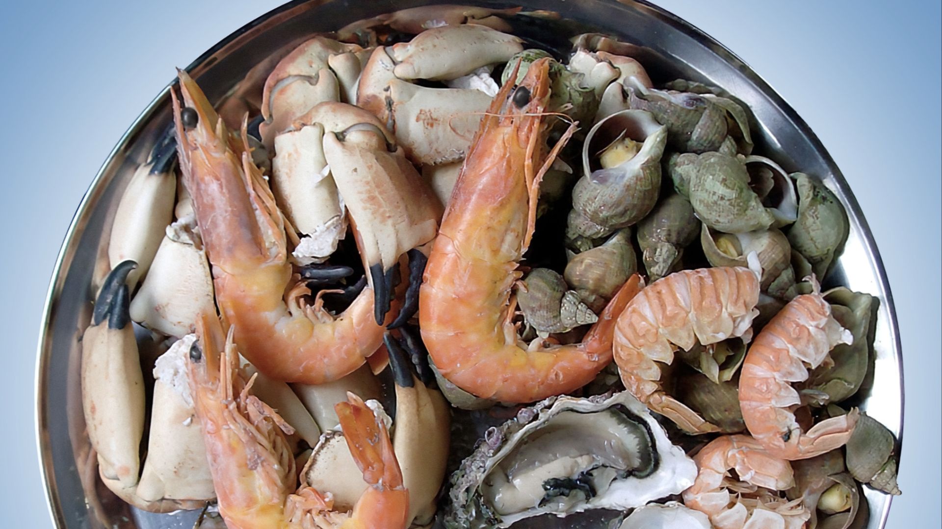 File:Plateau van zeevruchten.jpg