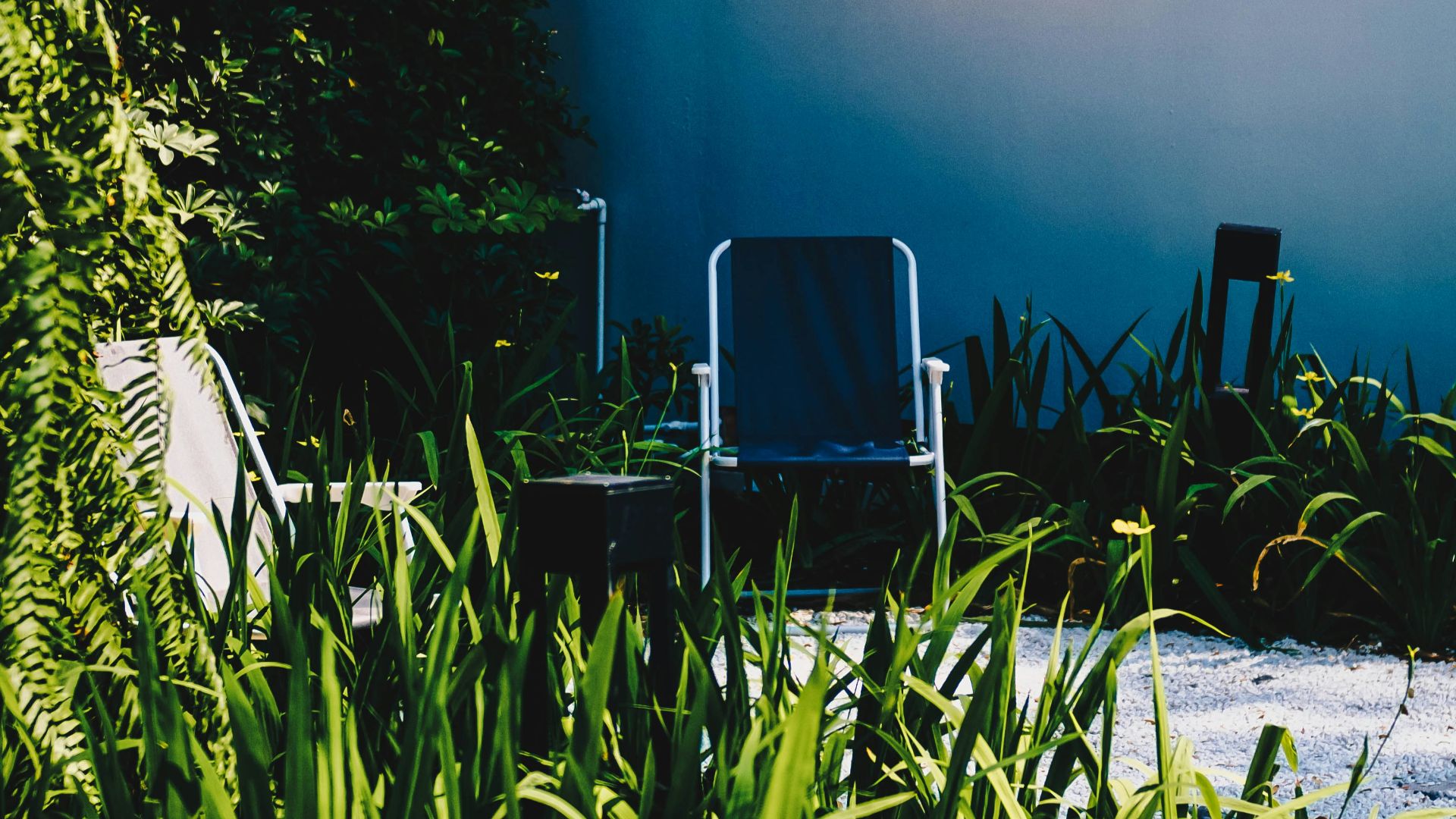 start your own chapter neon signage