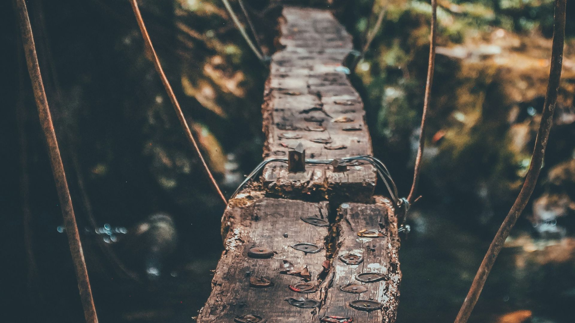 hanging bridge above water