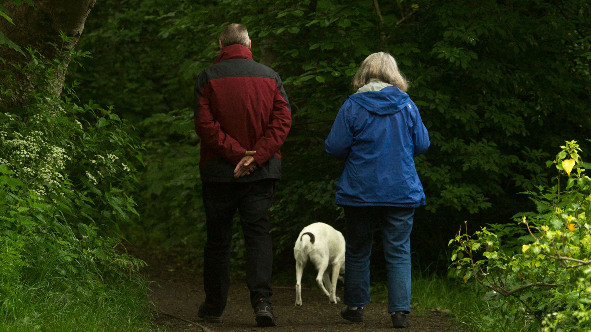 man and woman with white dog walking on dirt road during daytime