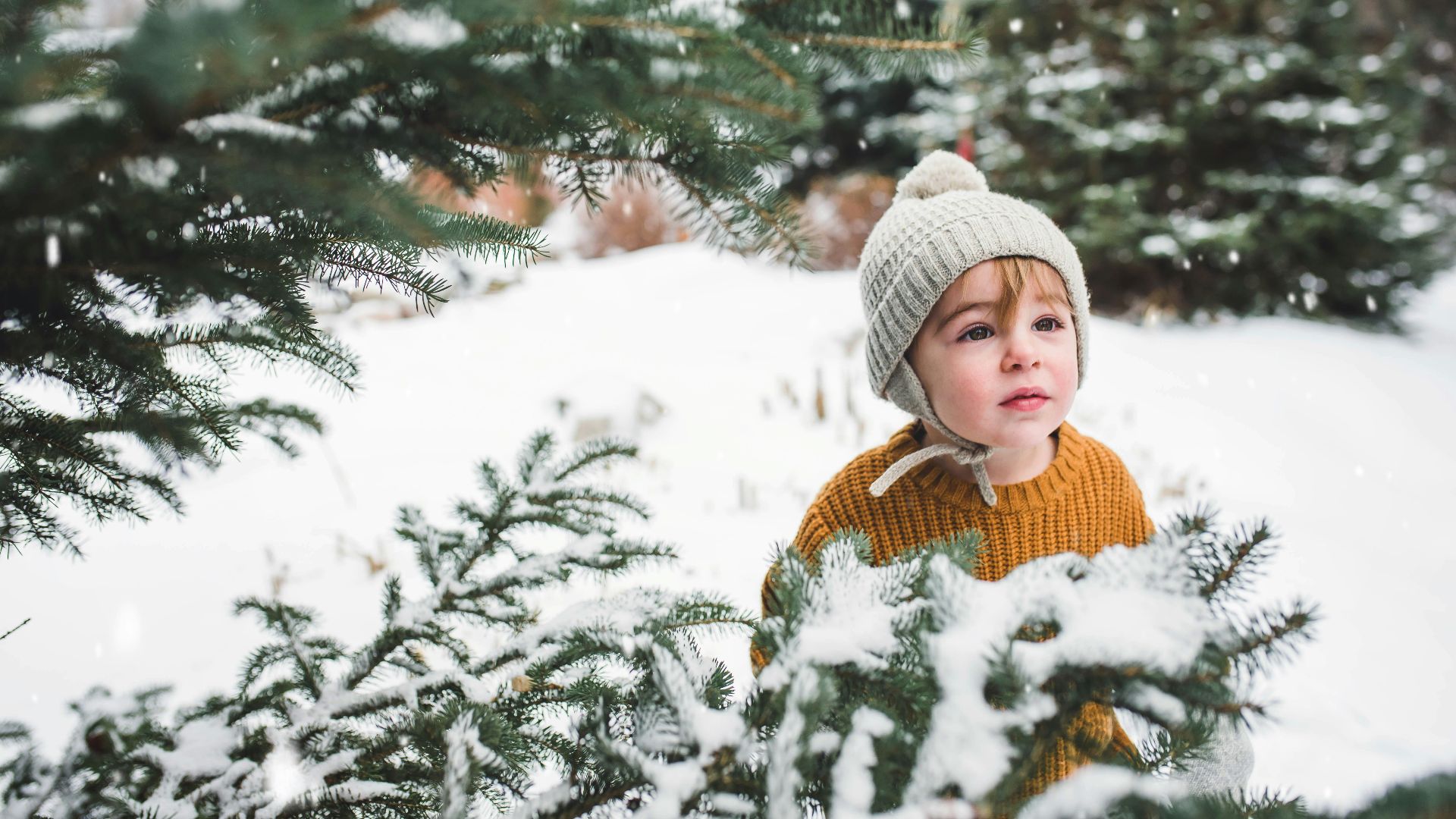 toddler beside pine tree