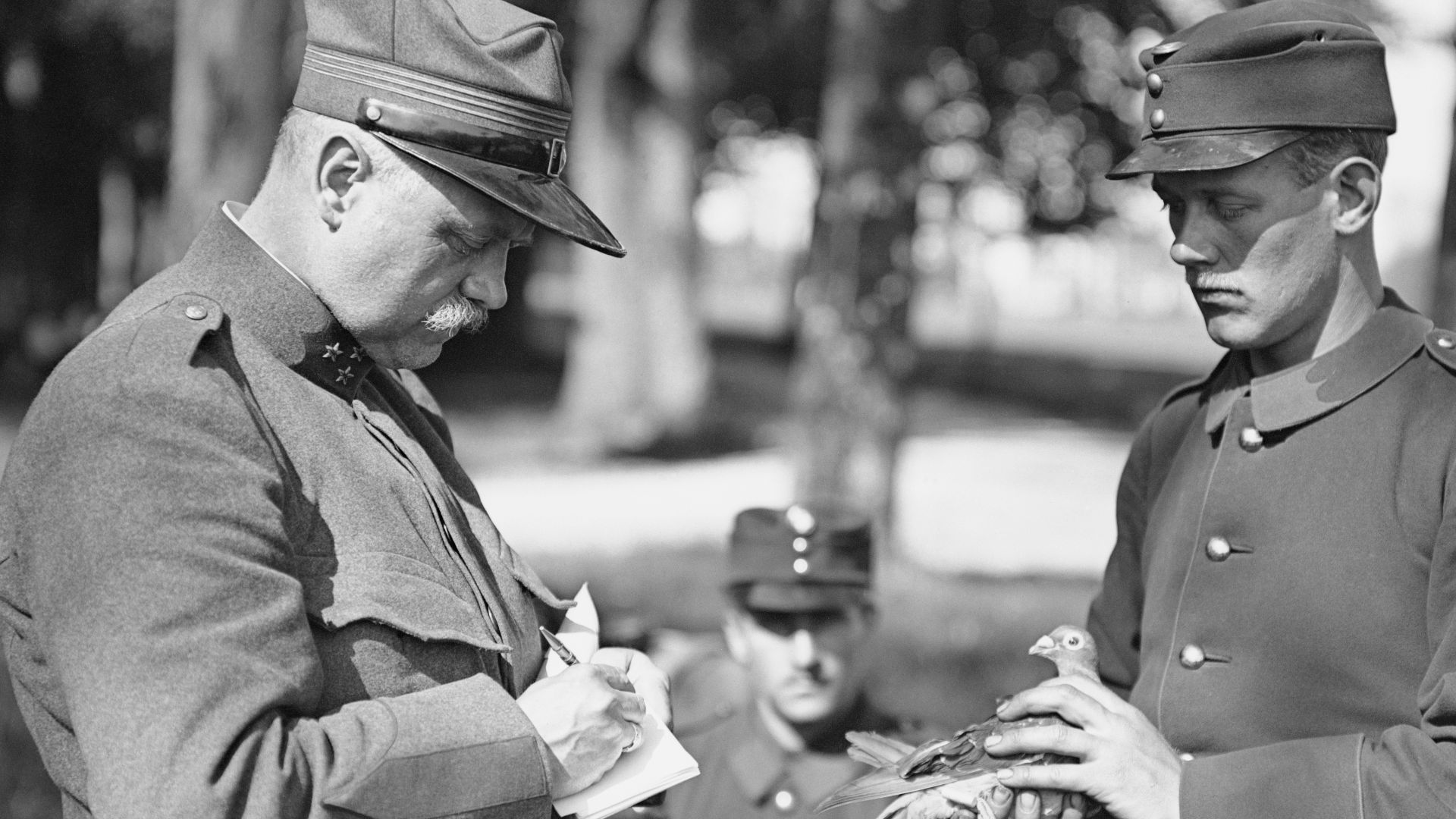 File:Abfertigen einer Meldung durch Brieftauben - CH-BAR - 3240471 - restoration.jpg