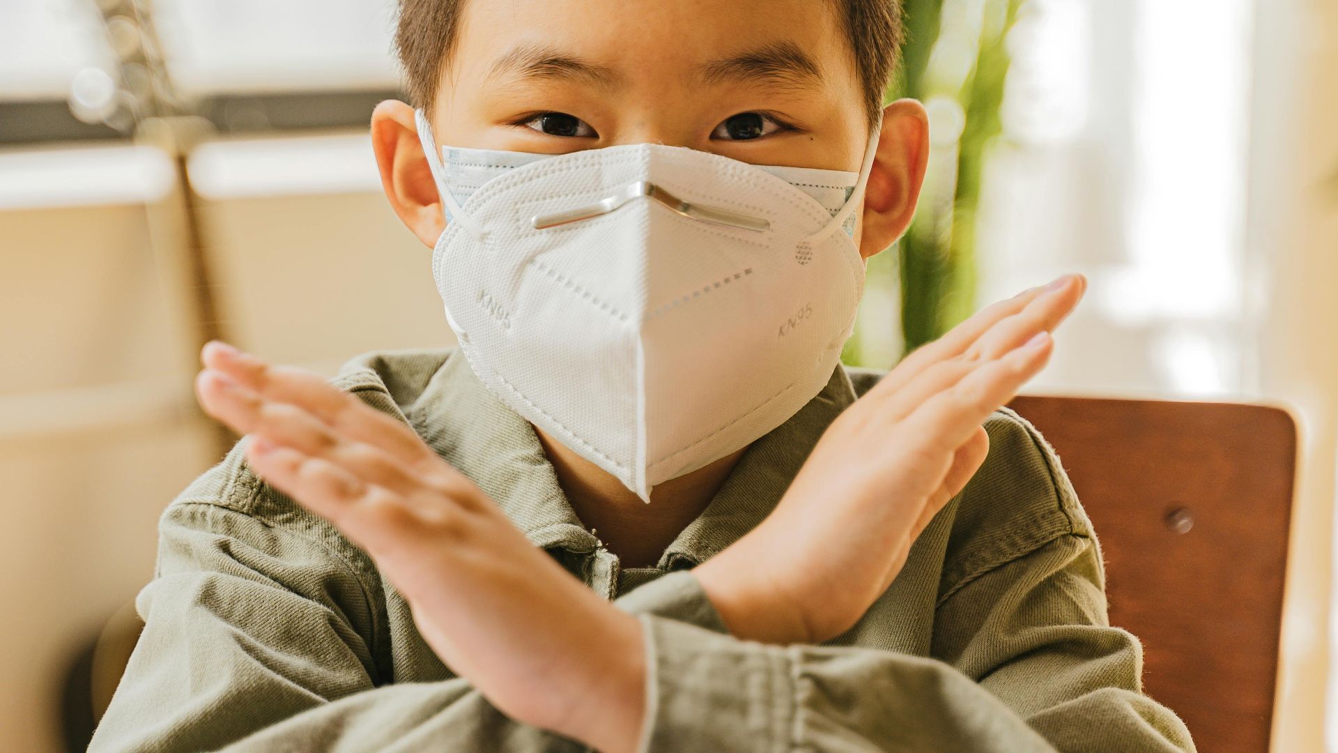 Antoni Shkraba Studio