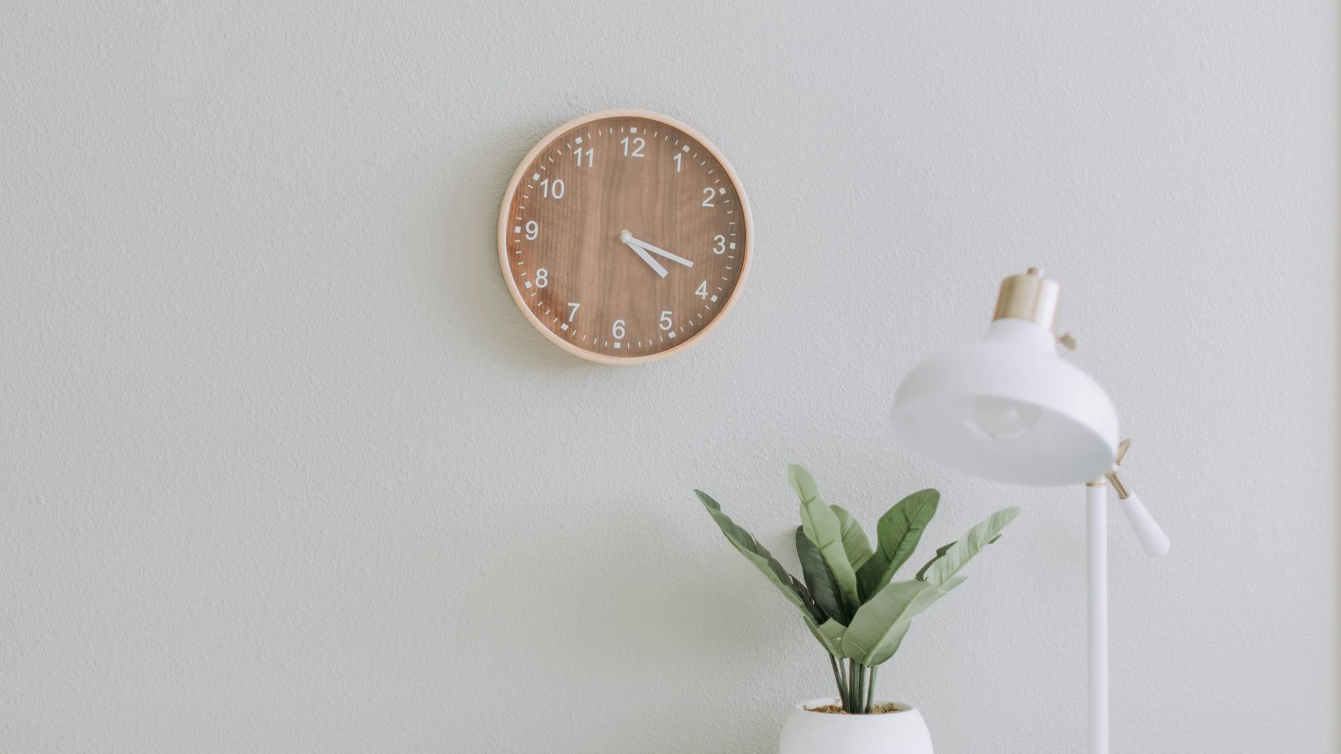 white desk lamp beside green plant