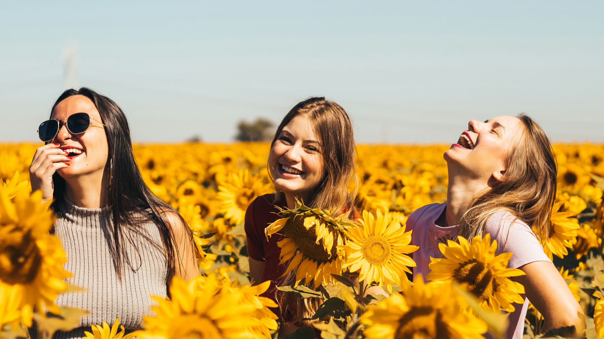 woman in white and black striped shirt standing on yellow sunflower field during daytime