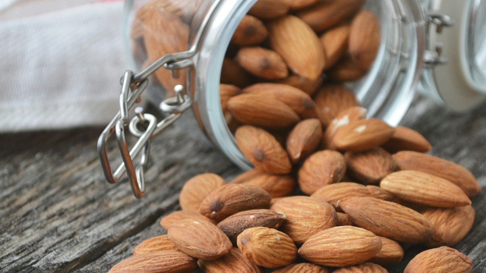 close up photo of Almonds