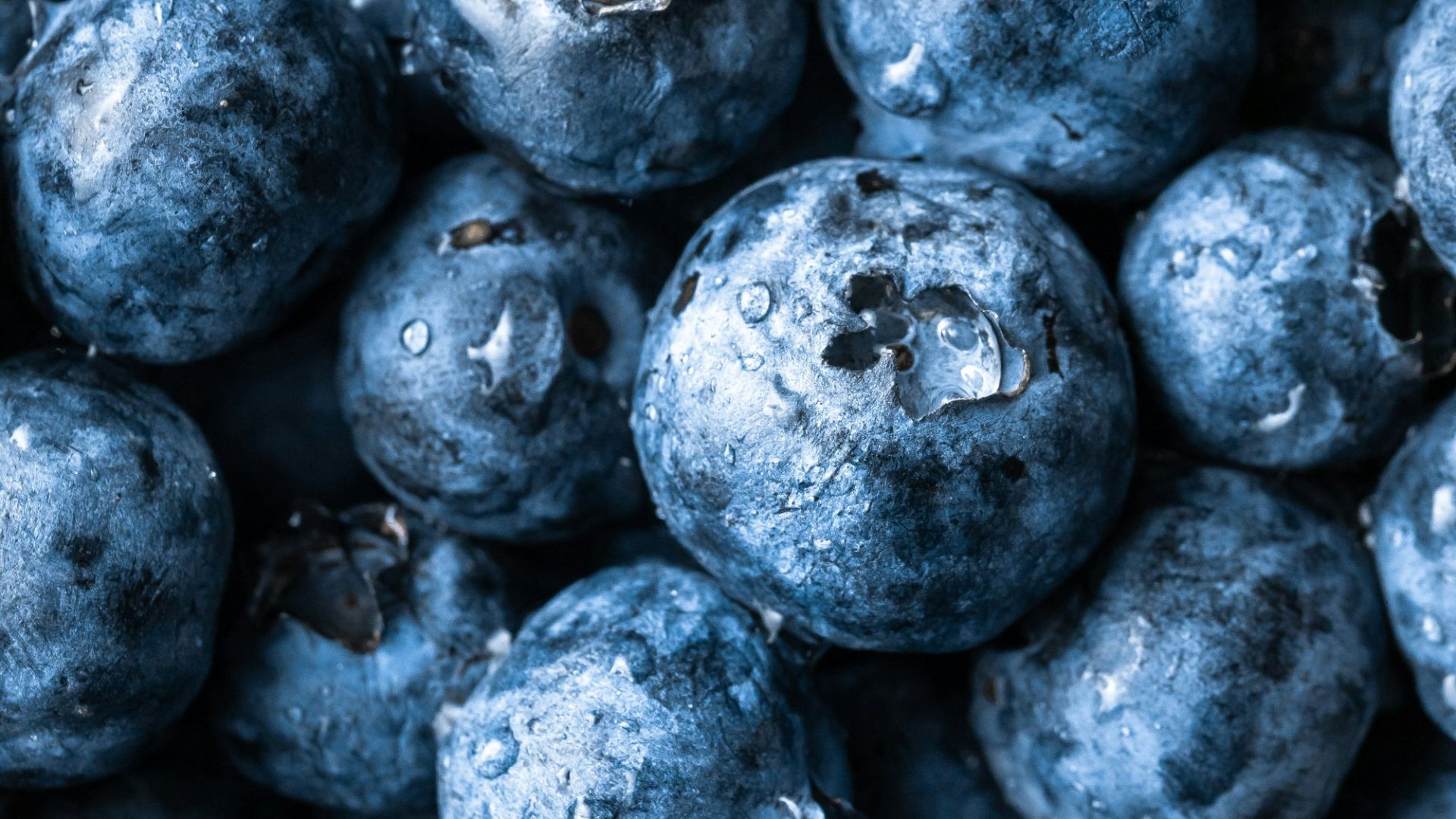 grayscale photography of round fruits