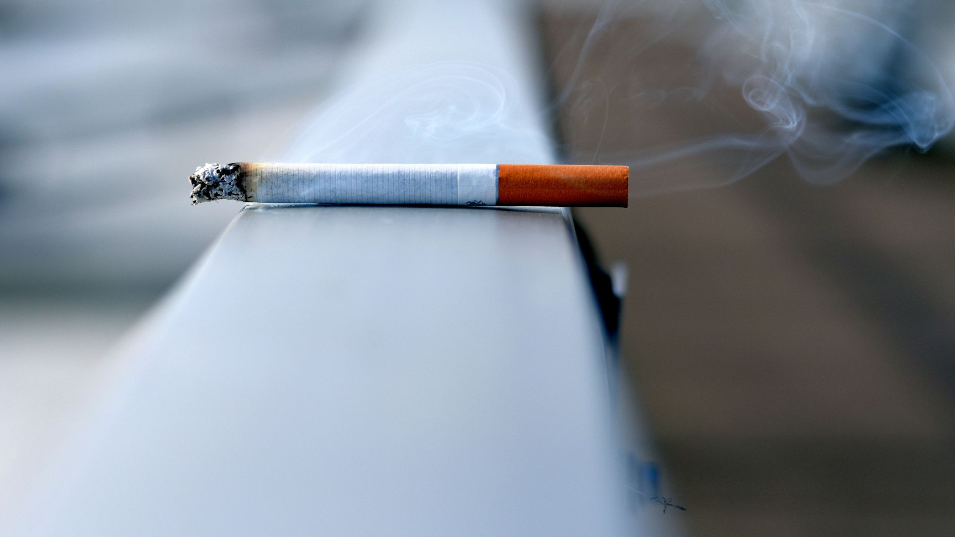 white cigarette stick on white wall
