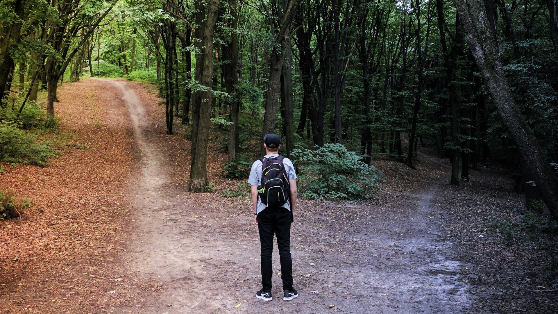 man standing in the middle of woods