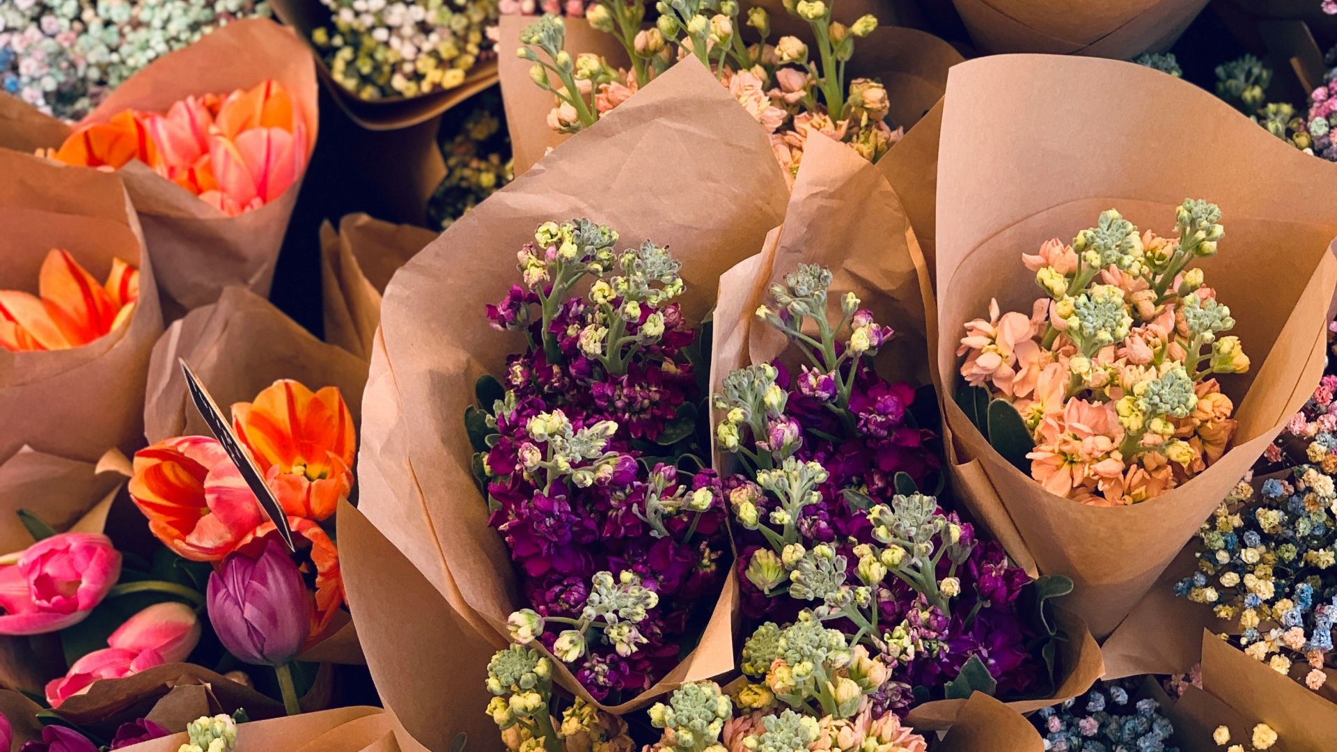 assorted-color flower bouquet lot