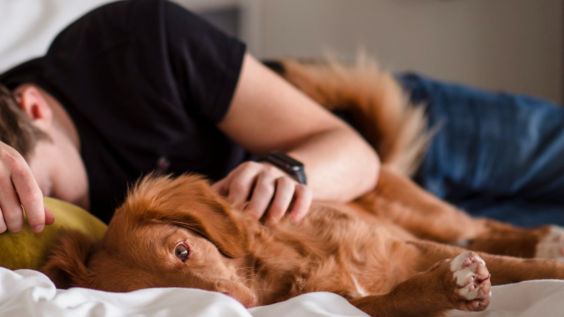 person in black shirt lying on bed
