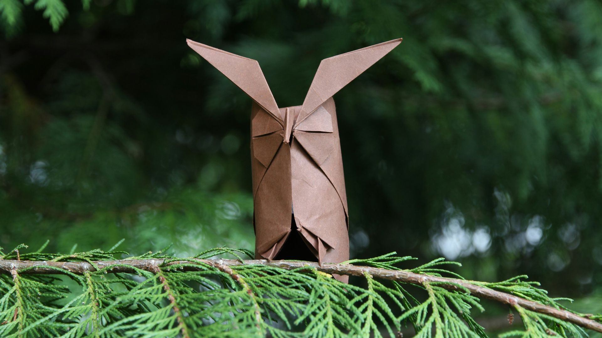 brown paper plane on green tree