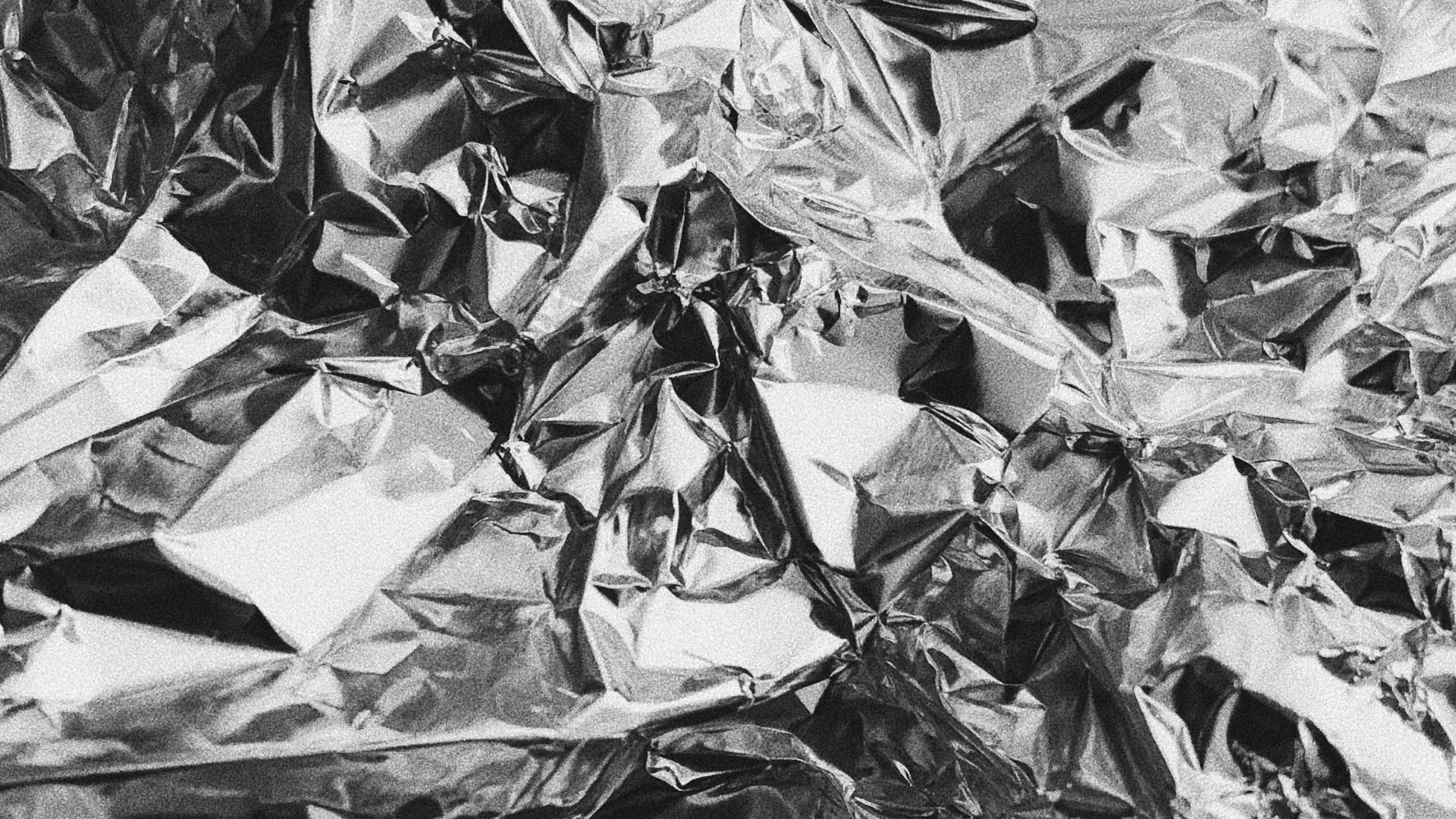 grayscale photo of leaves on ground