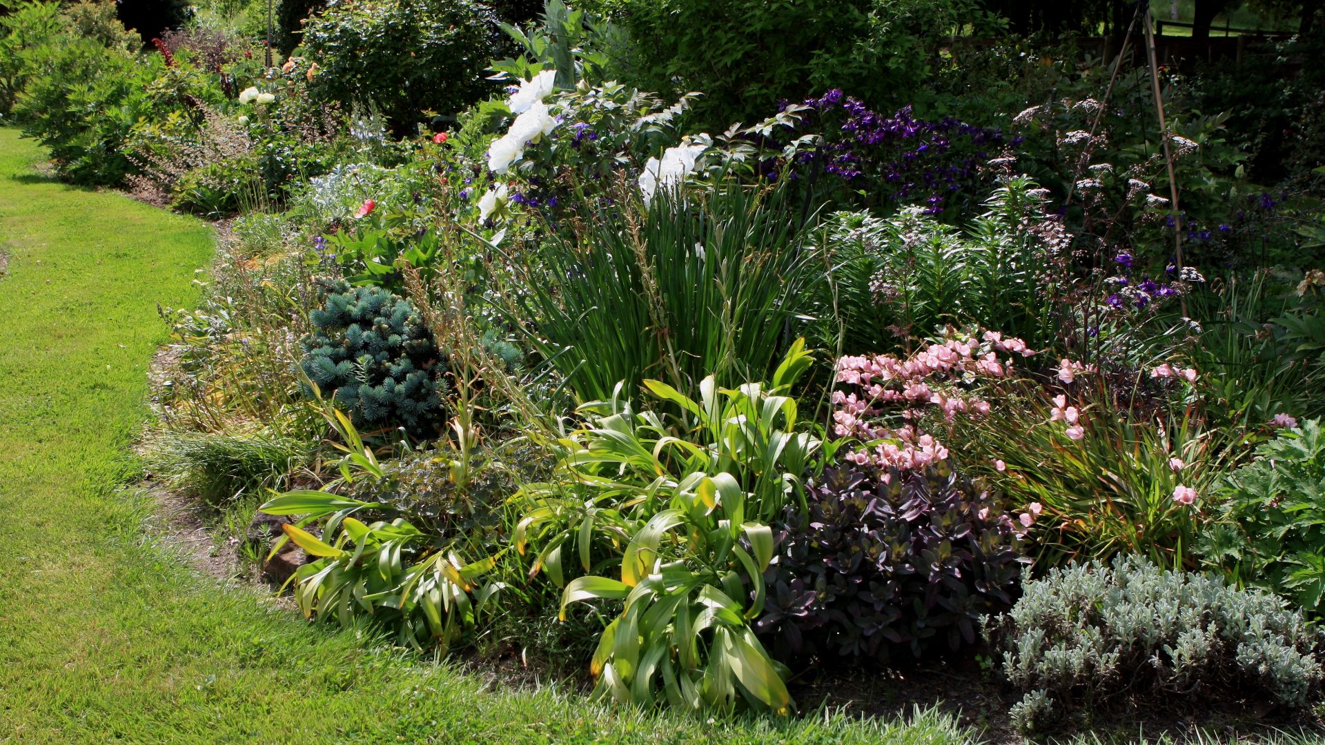 File:Flickr - brewbooks - Garden Border.jpg