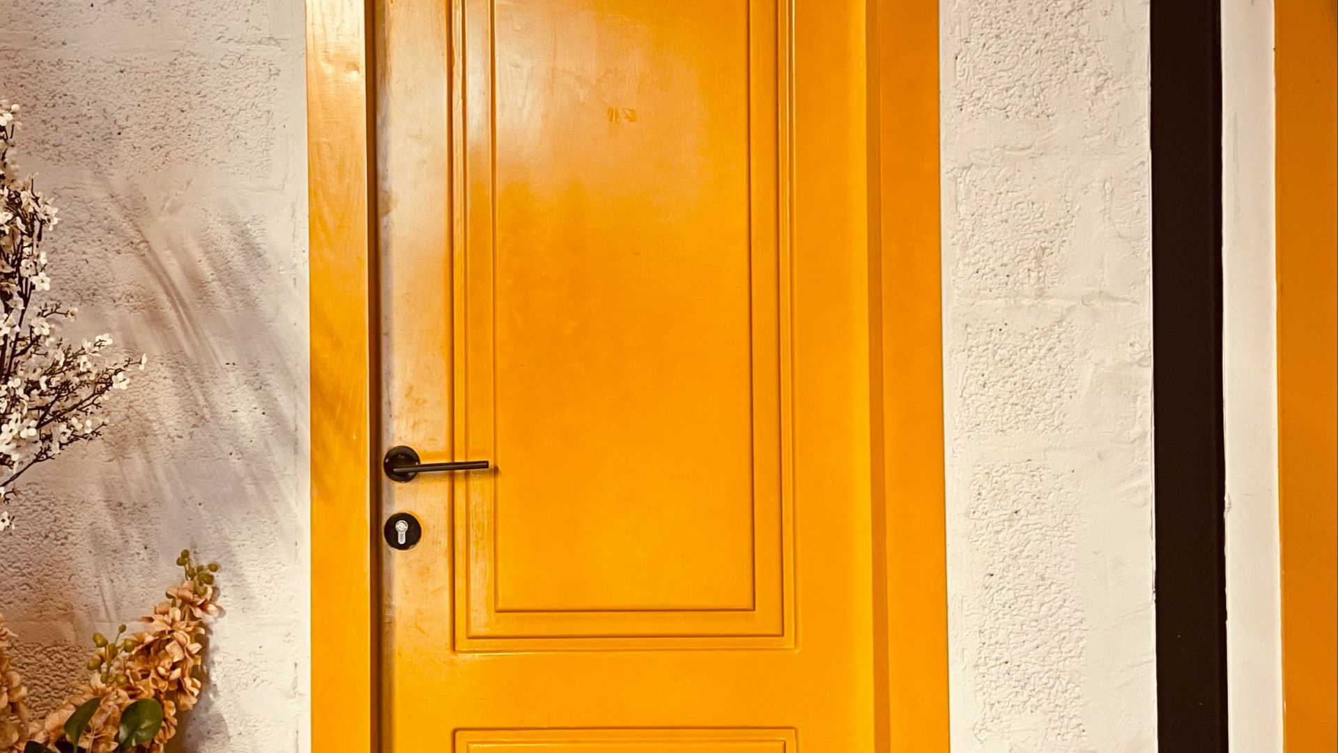 brown wooden door beside green plant