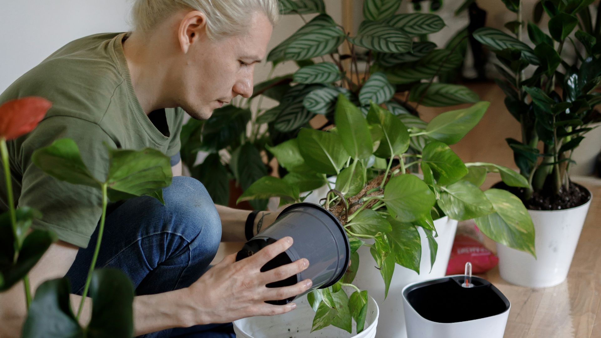 boy in green shirt holding black round plastic container
