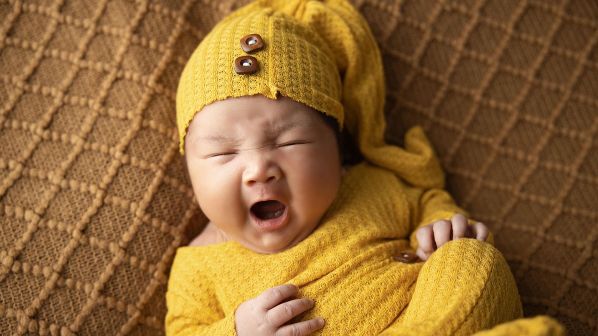 bongbabyhousevn