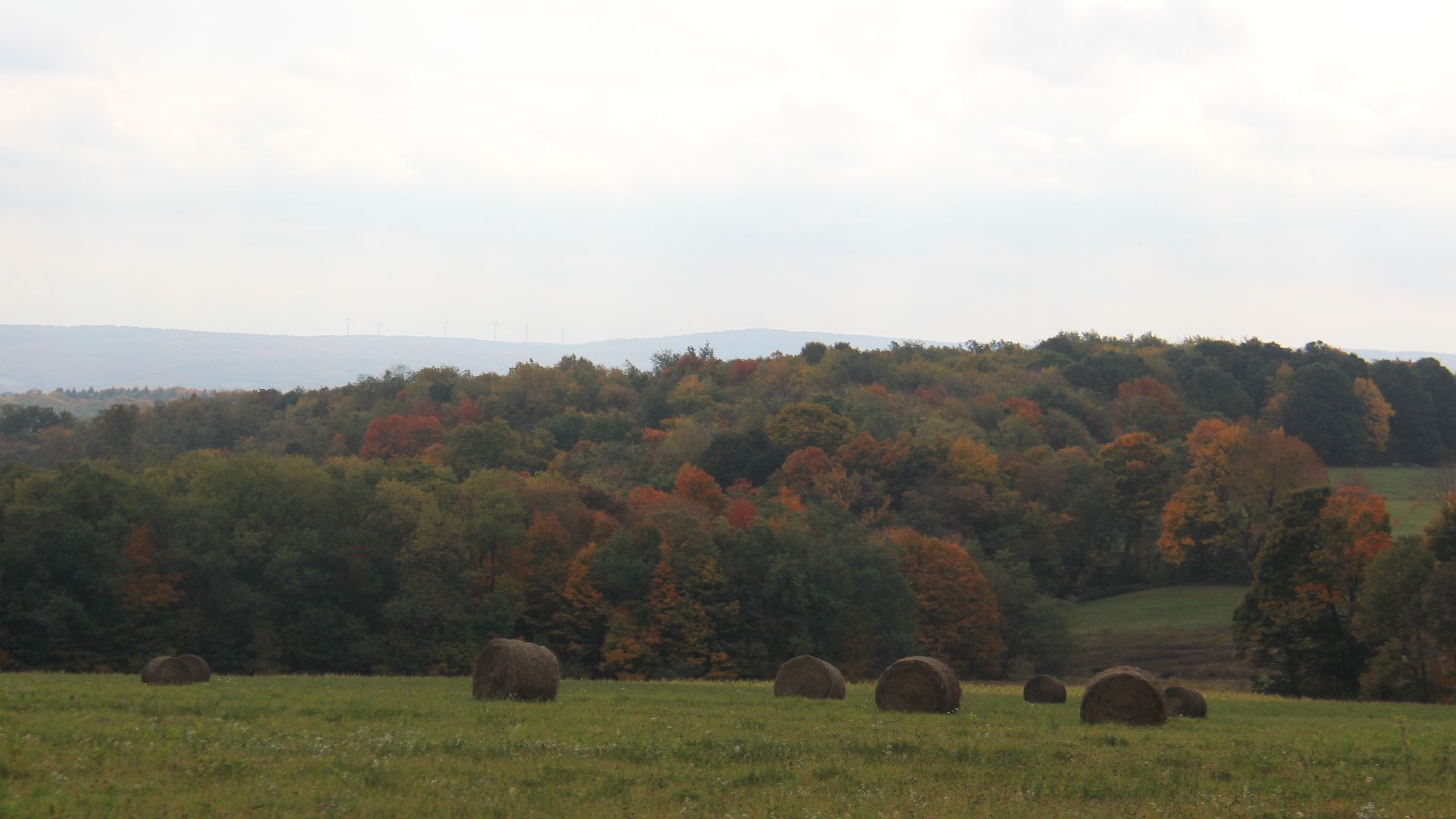 File:Fall Colors in Johnstown - panoramio (22).jpg
