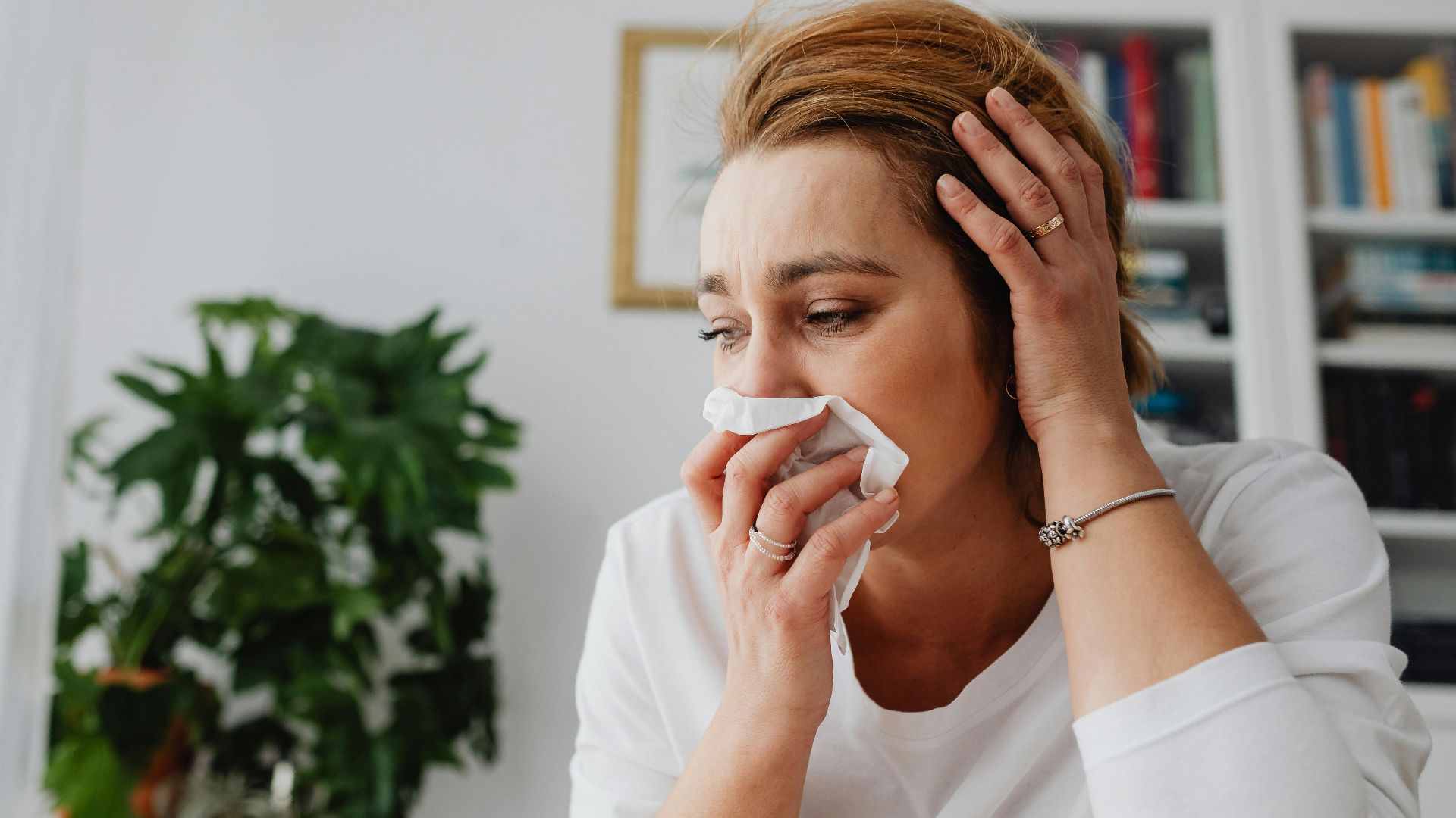 Photo By: Kaboompics.com