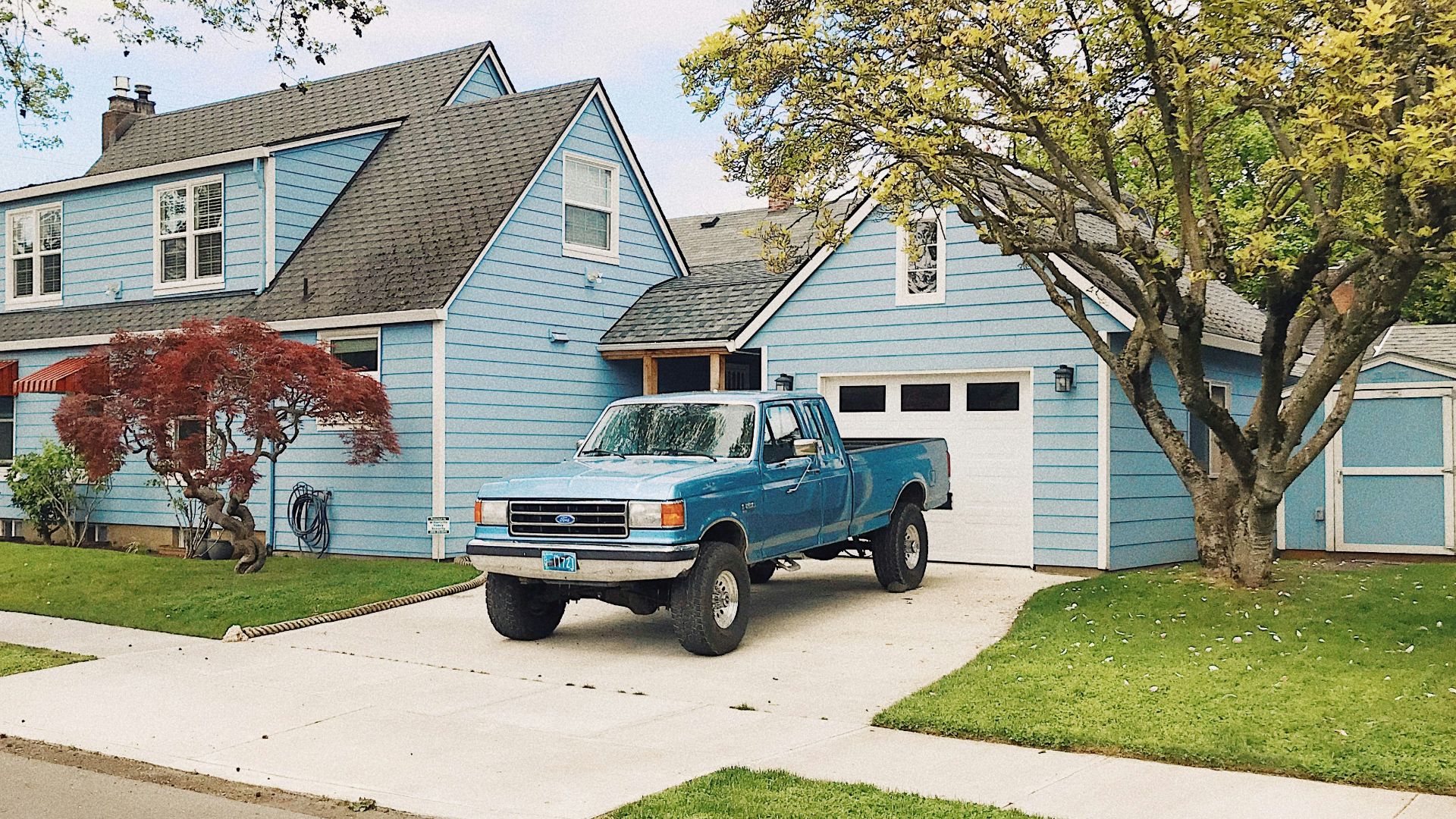 blue and white single cab pickup truck parked near green tree during daytime