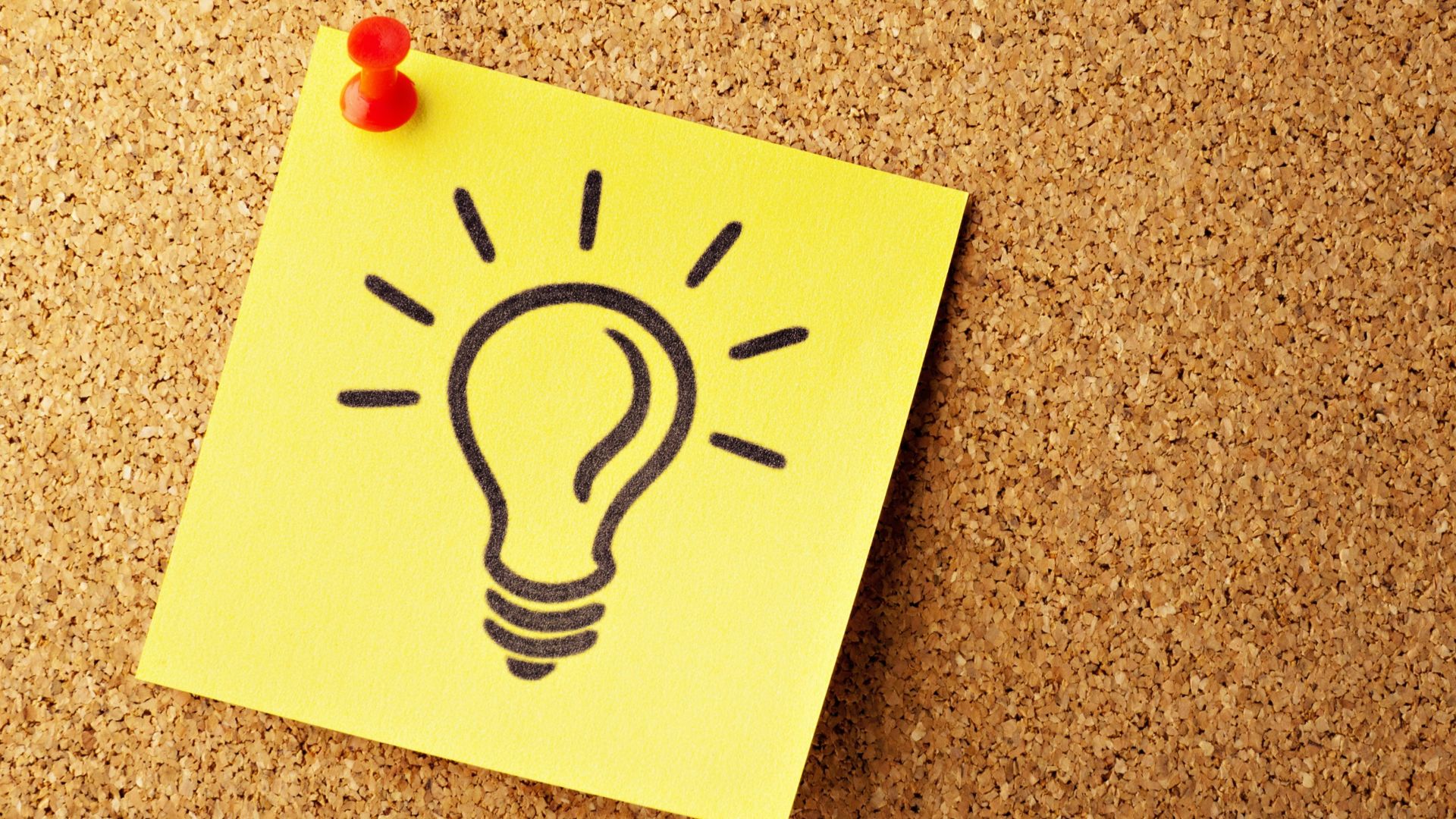 photo of bulb artwork