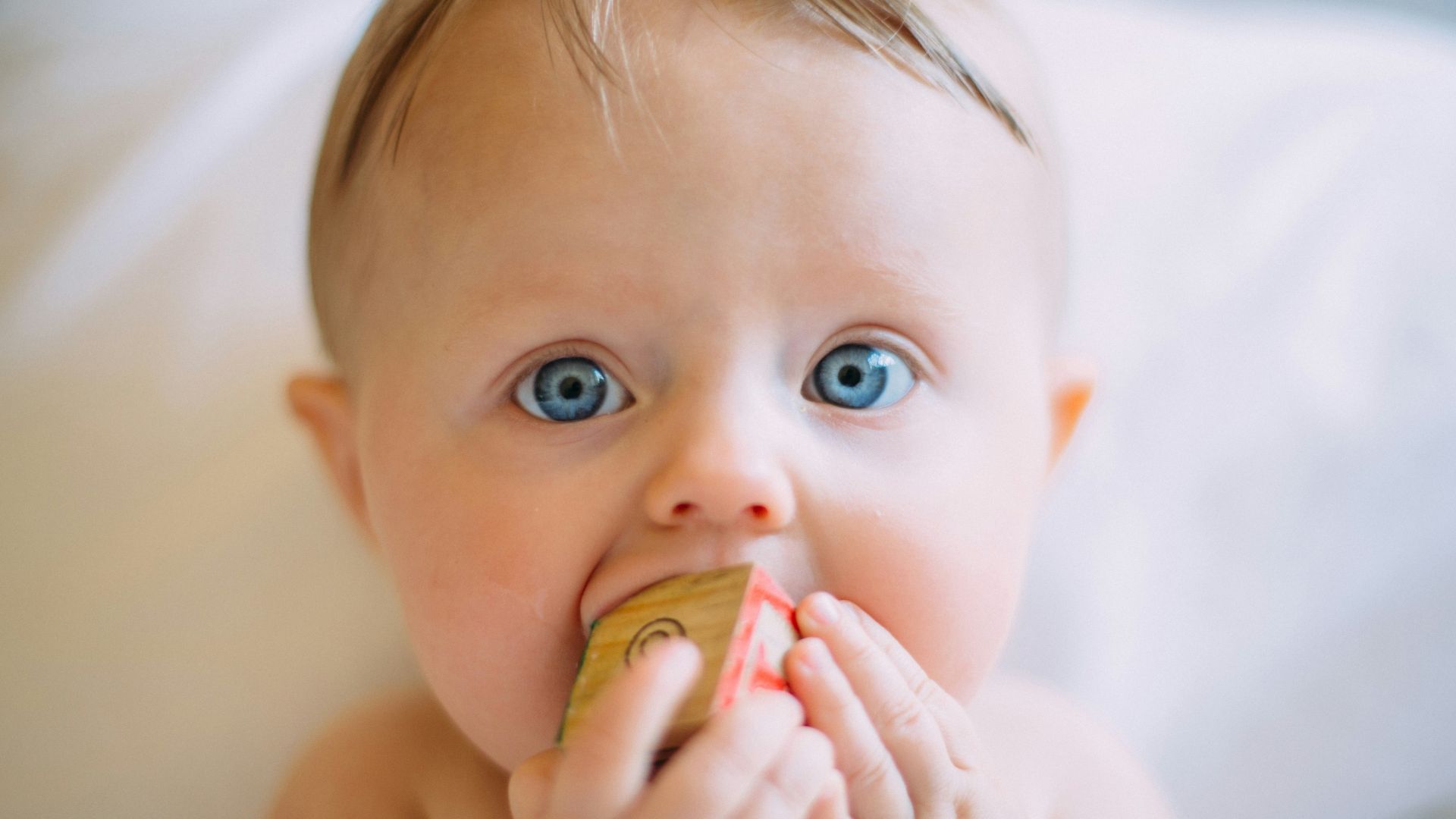 selective focus photography of baby holding wooden cube