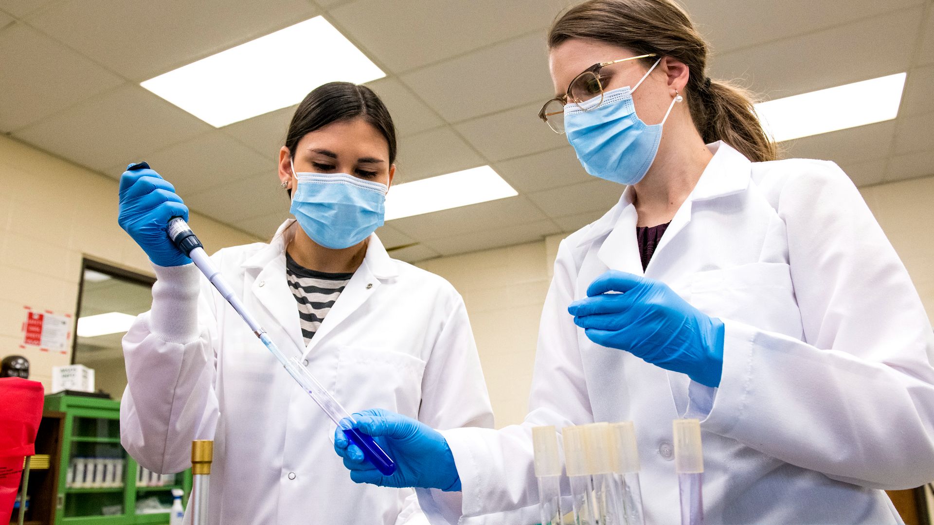 File:Food Safety Research - 51207451193.jpg