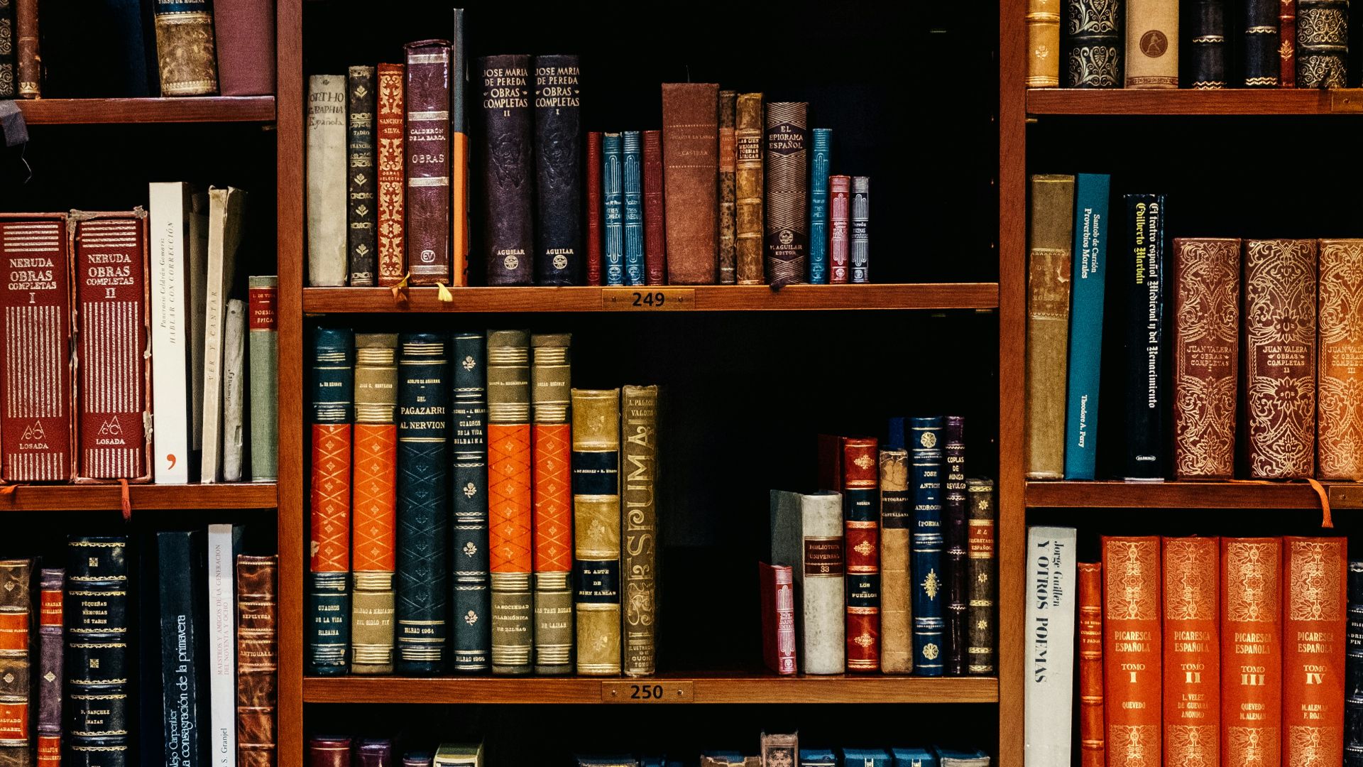 assorted-title of books piled in the shelves
