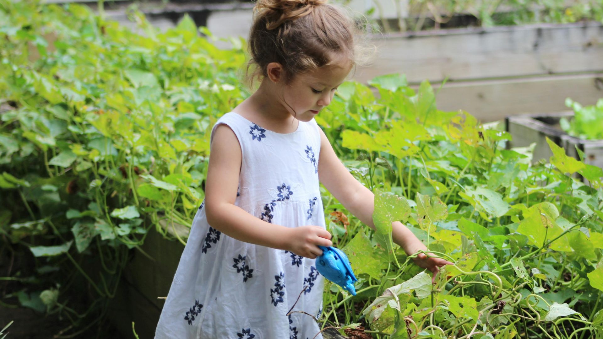 Maggie My Photo Album