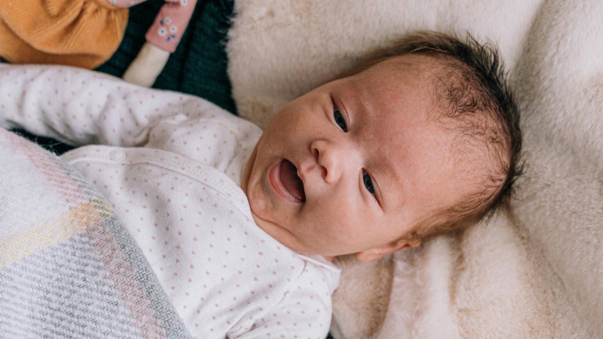 Antoni Shkraba Studio