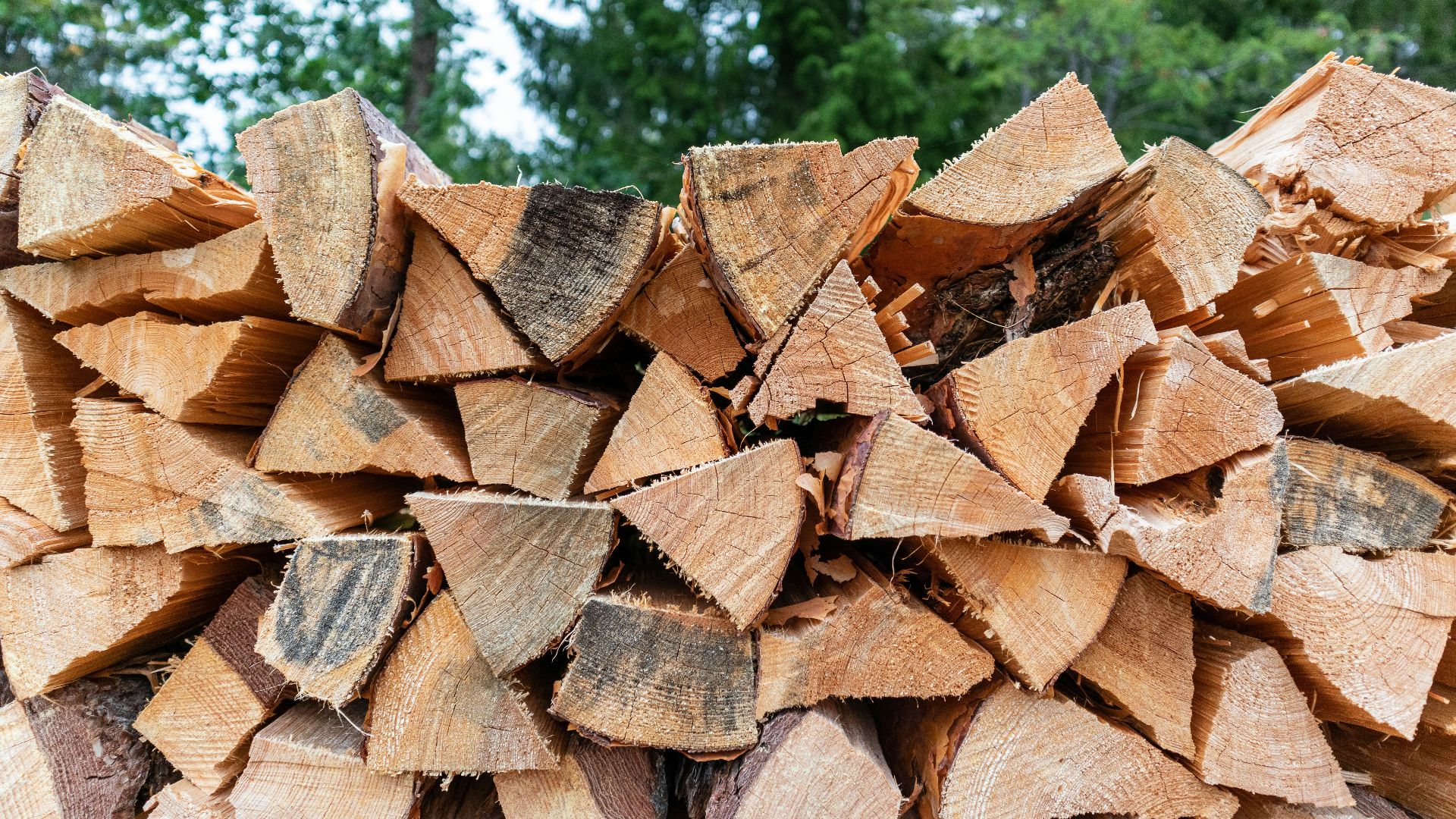 brown firewood lot