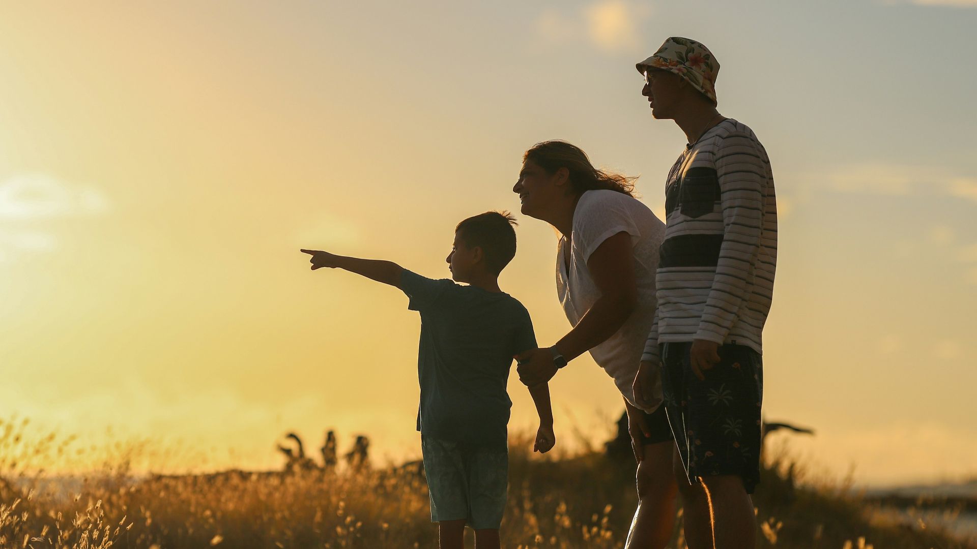 man and woman holding hands while walking on grass field during sunset
