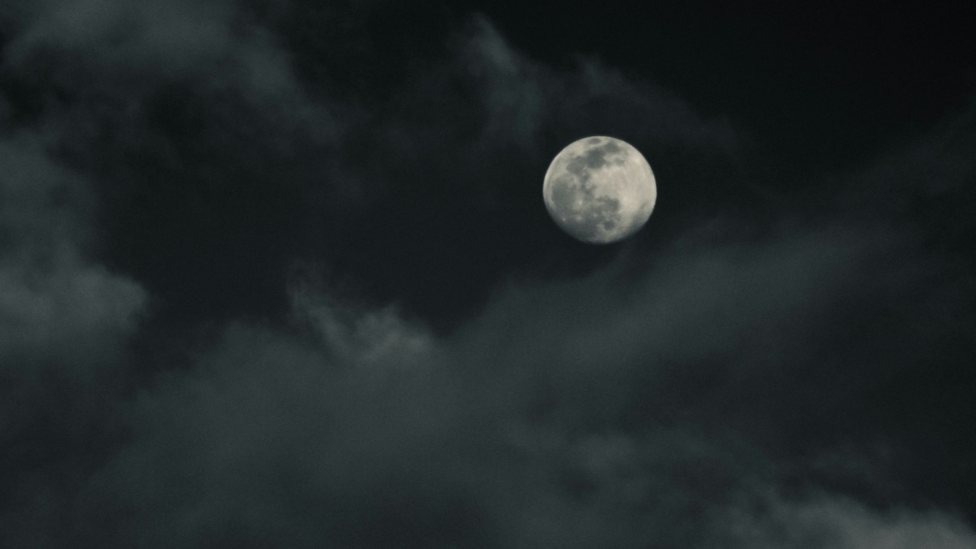 full moon in the sky