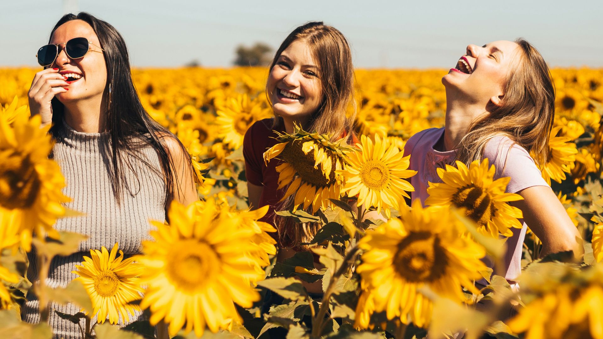 woman in white and black striped shirt standing on yellow sunflower field during daytime