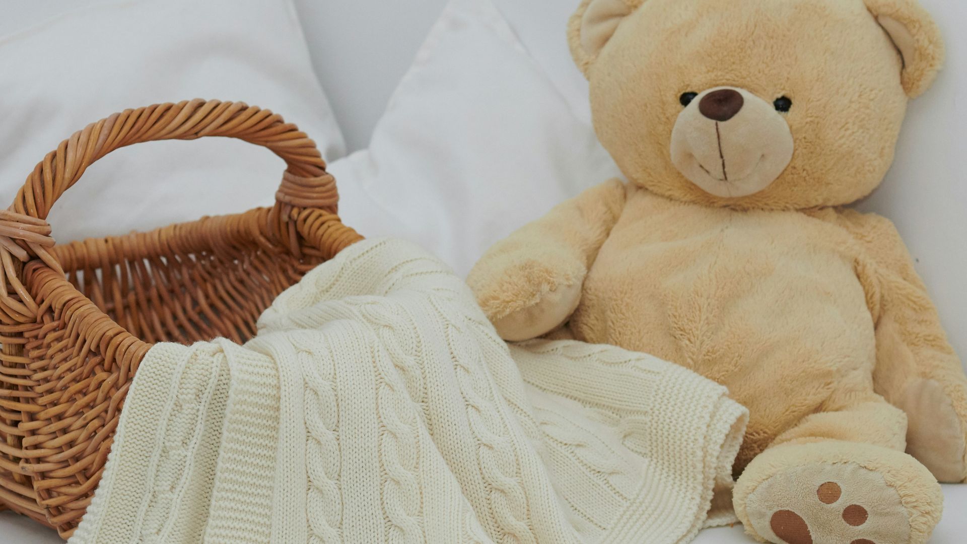 brown bear plush toy