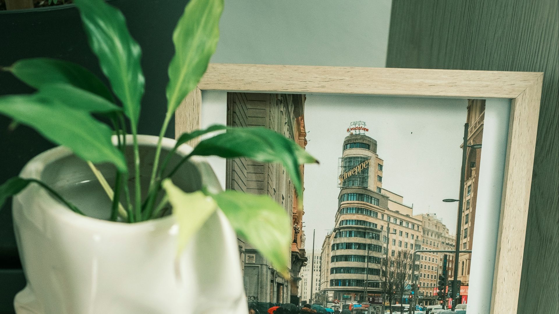 a white vase with a plant in it next to a book