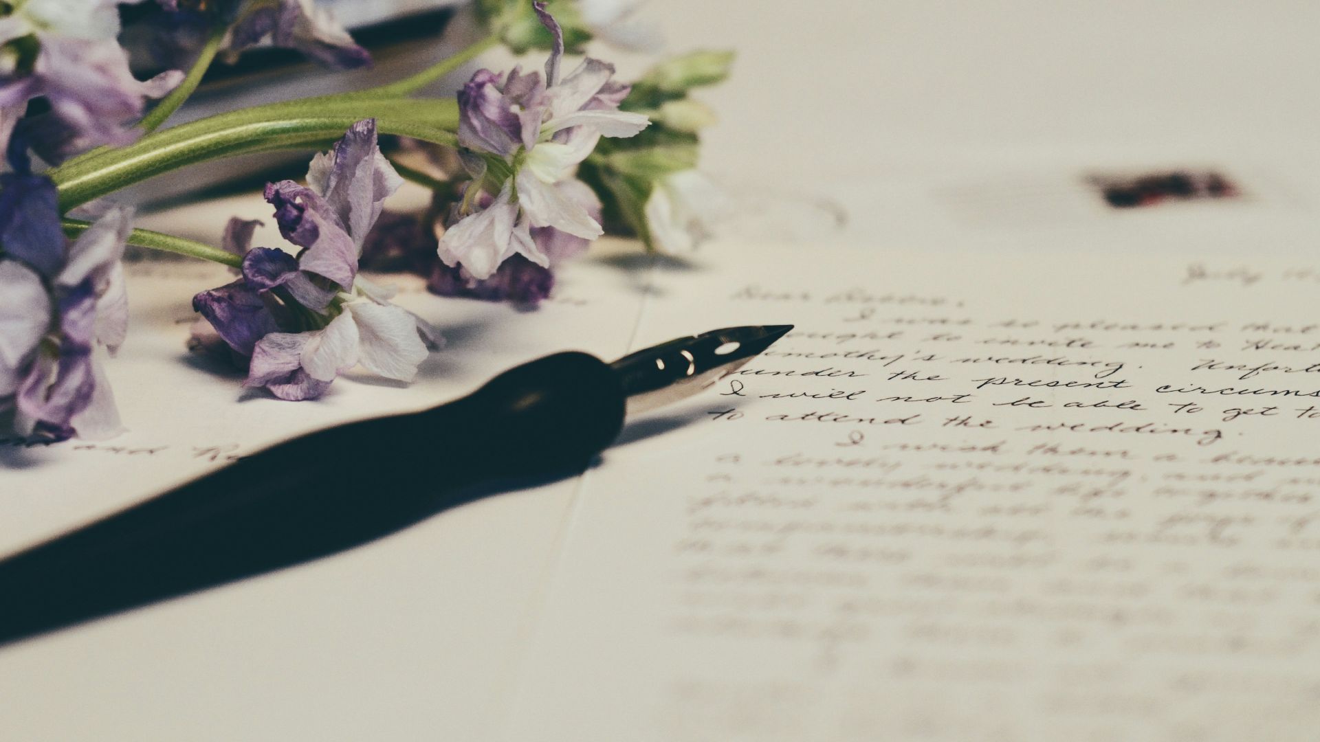 purple flowers on paper