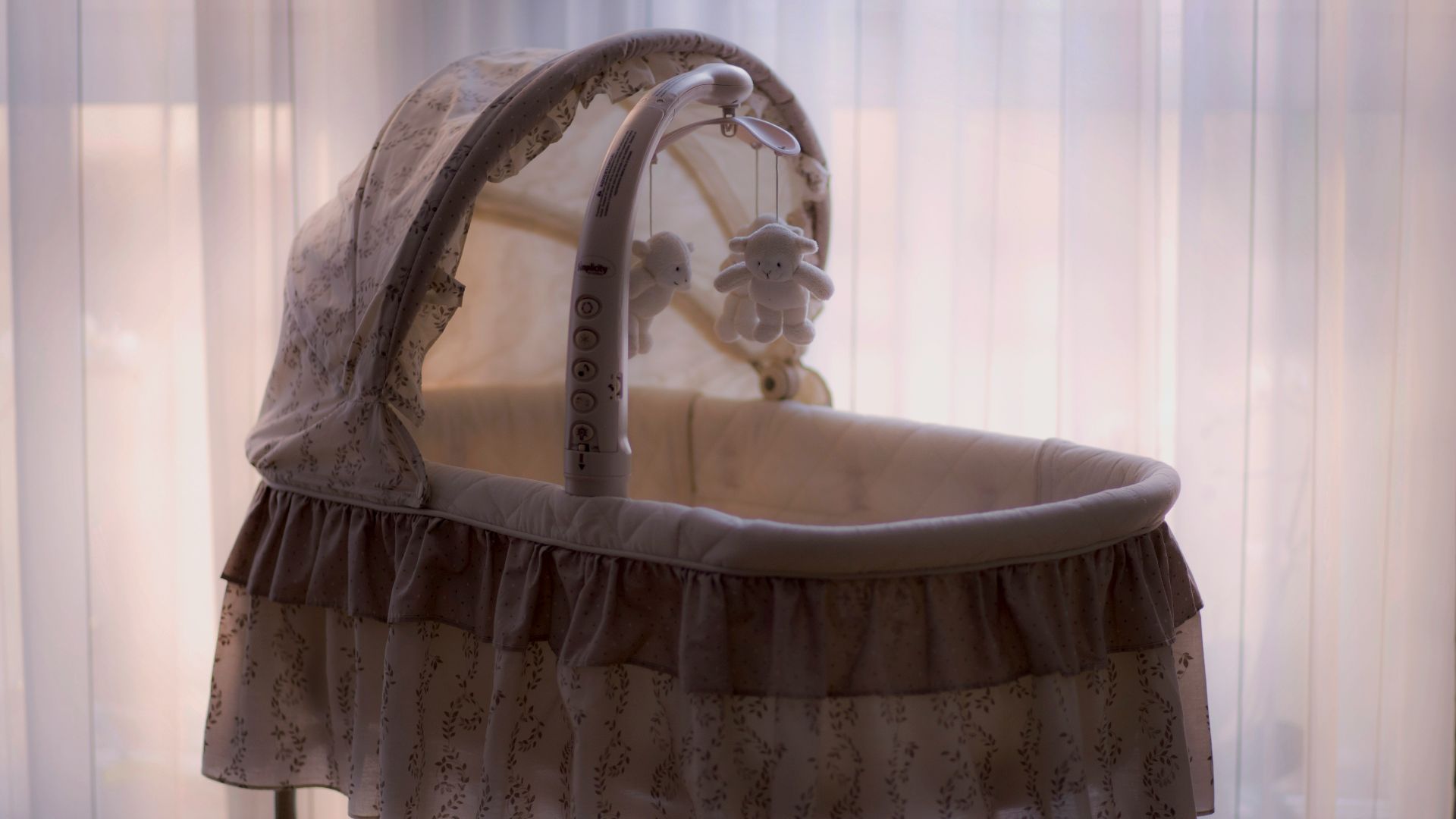 baby's white and black bassinet