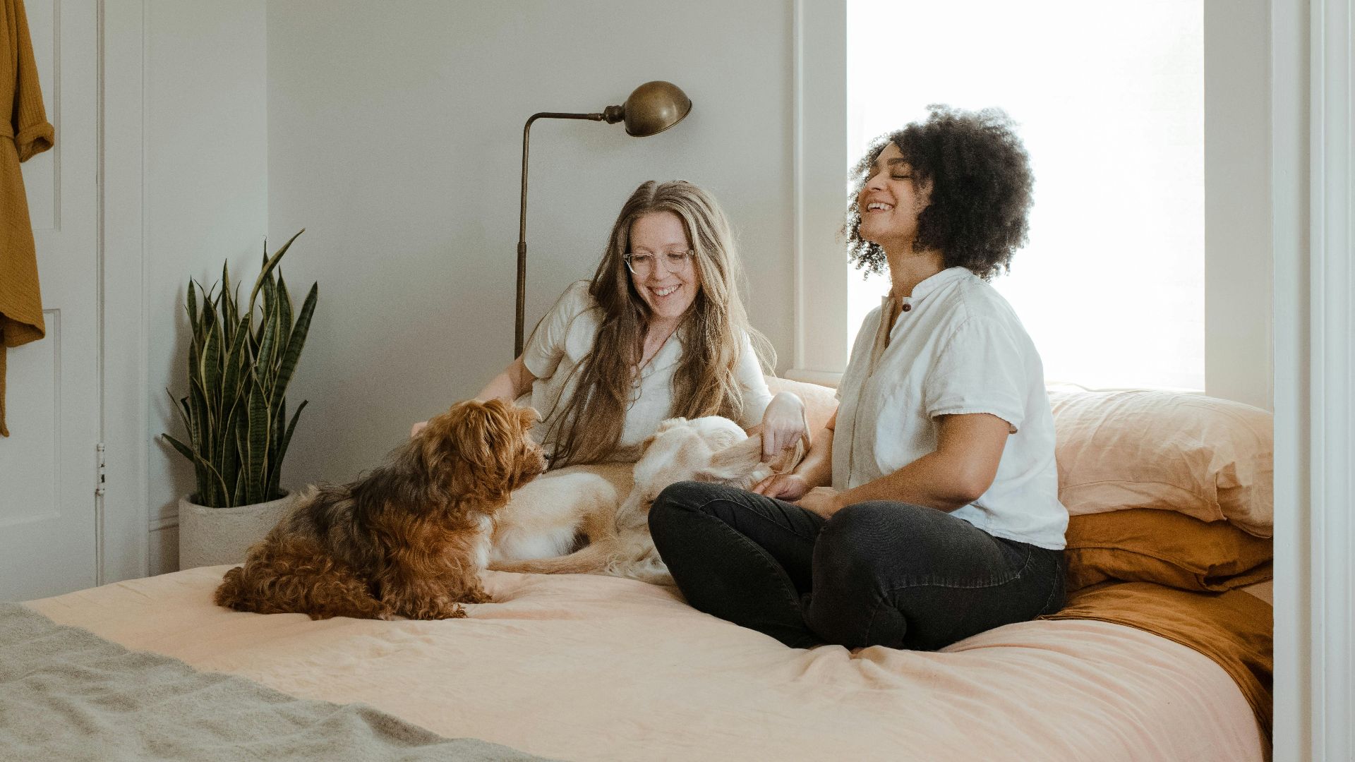 woman in white long sleeve shirt sitting on bed beside brown dog