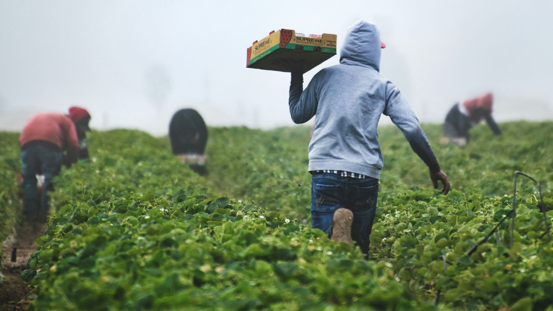 man in gray hoodie and black pants holding brown cardboard box