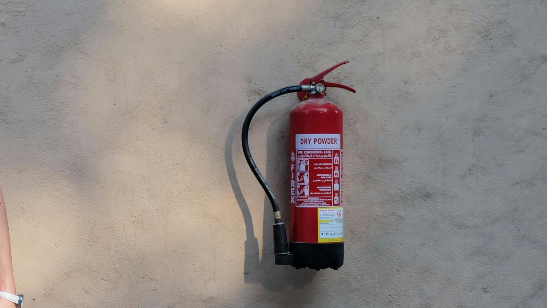 The Lazy Artist Gallery